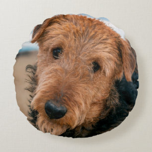 Almofada Redonda Retrato de um Airedale Terrier