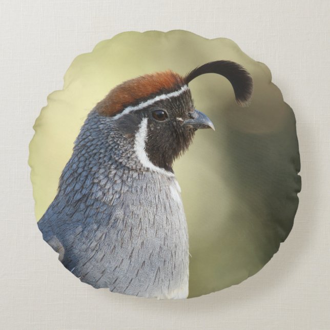 Almofada Redonda Retrato Male Quail (Frente)