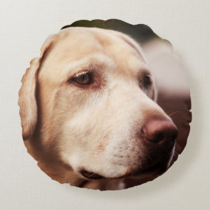 Almofada Redonda Retriever Labrador