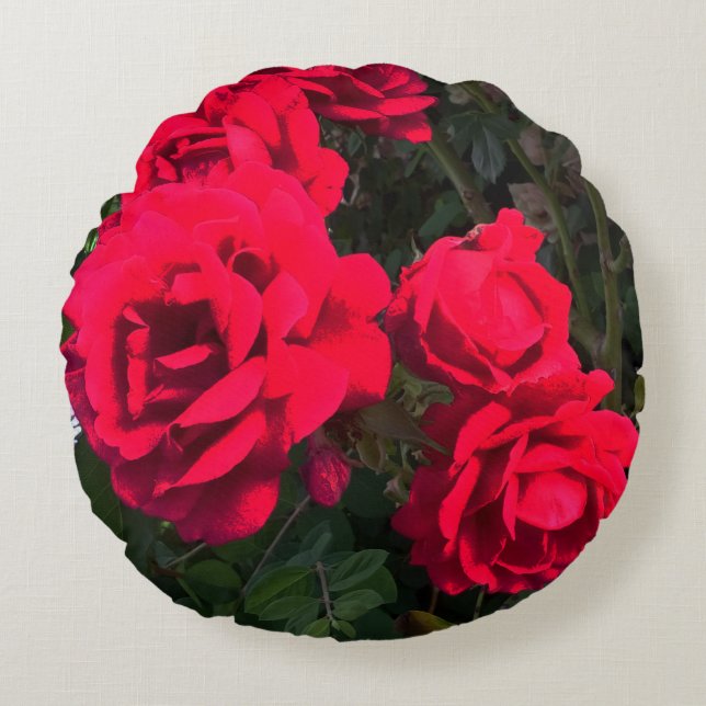 Almofada Redonda Rosa vermelha Rosarium (Frente)