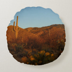 Almofada Redonda Saguaro Sunset I Arizona Desert Landscape