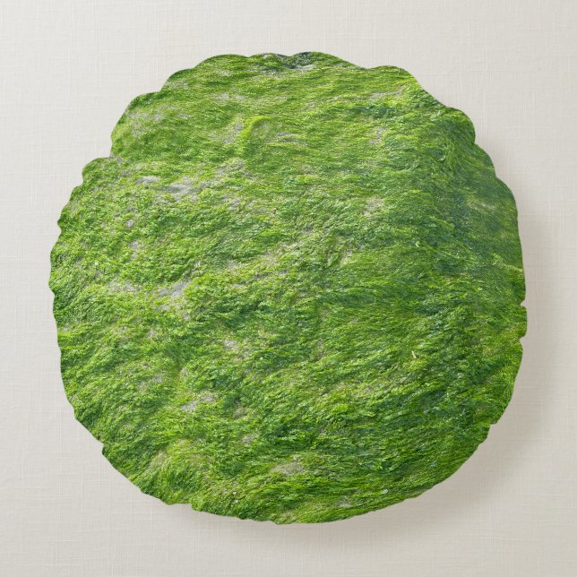 Almofada Redonda Sea Moss Green Nature Grass Beach NIMO (Frente)