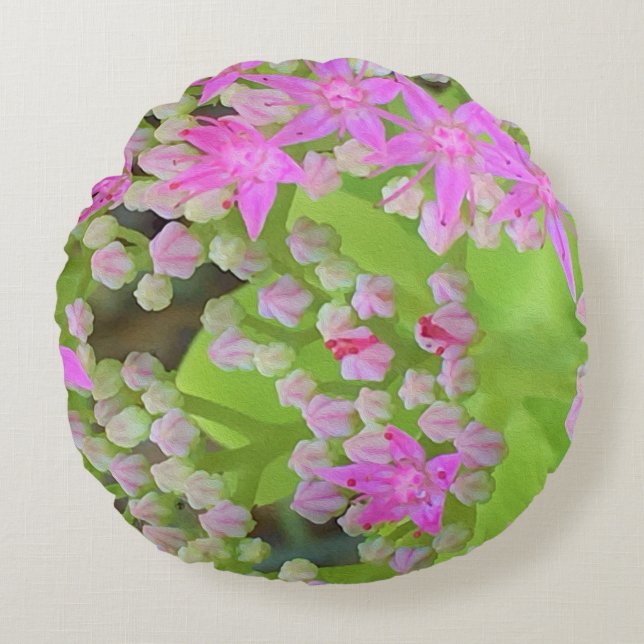 Almofada Redonda Sedum Suculto Rosa Quente com Folhas Verdes Inchad (Frente)
