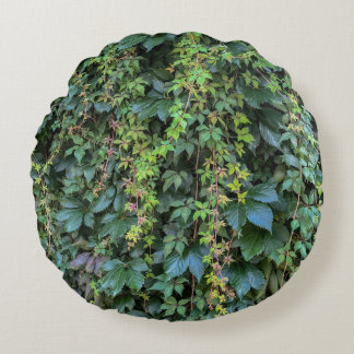 Almofada Redonda Serene Green Ivy Wall Prendendo Folhas de Plantas 
