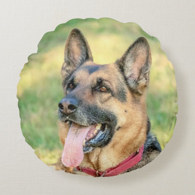 Almofada Redonda Shepard Alemão (Frente)