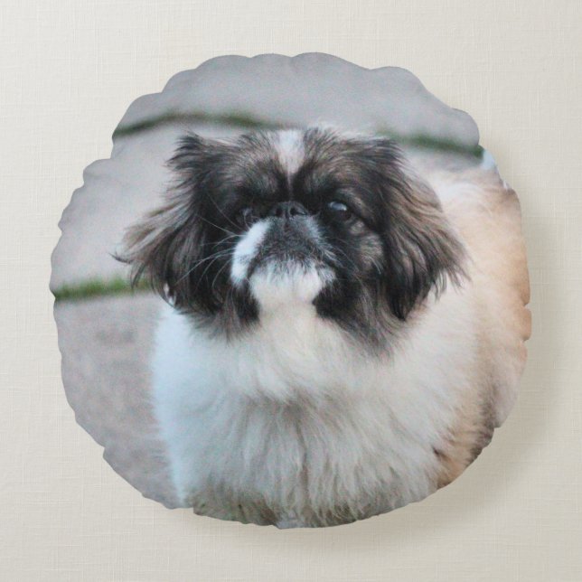Almofada Redonda Shih Tzu (Frente)