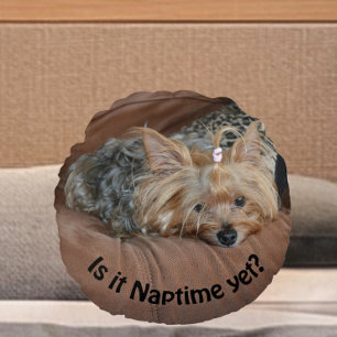 Almofada Redonda Sleepy Yorkshire Terrier Ainda É Tempo De Nápoles