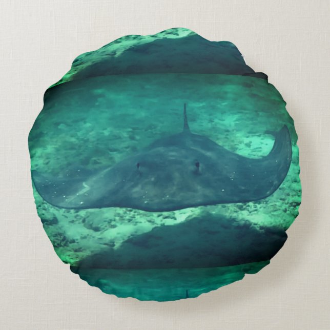 Almofada Redonda Sting Ray (Verso)