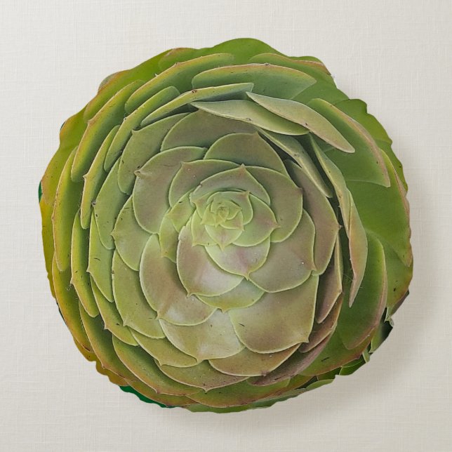 Almofada Redonda Succulent Rose Shape (Verso)