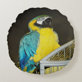 Almofada Redonda Taz.