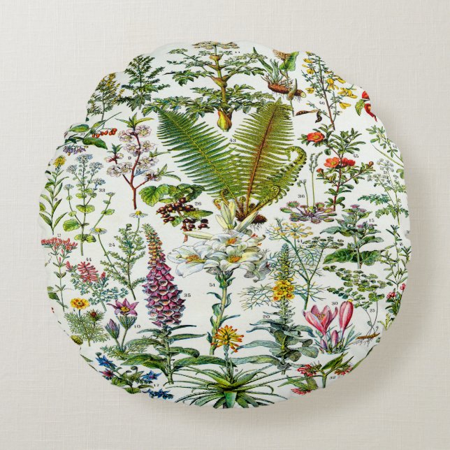 Almofada Redonda Travesseiro de Destaque de Plantas Medicinais (Frente)