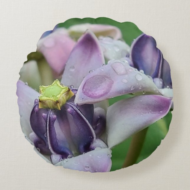 Almofada Redonda Travesseiro de Flor da Coroa Roxa (Frente)