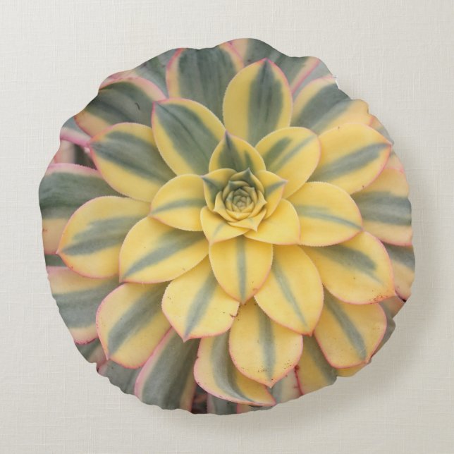 Almofada Redonda Travesseiro decorativo do Succulent do "Sunburst" (Verso)