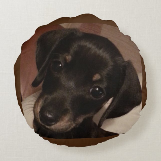 Almofada Redonda Travesseiro decorativo redondo poli escovado (Verso)