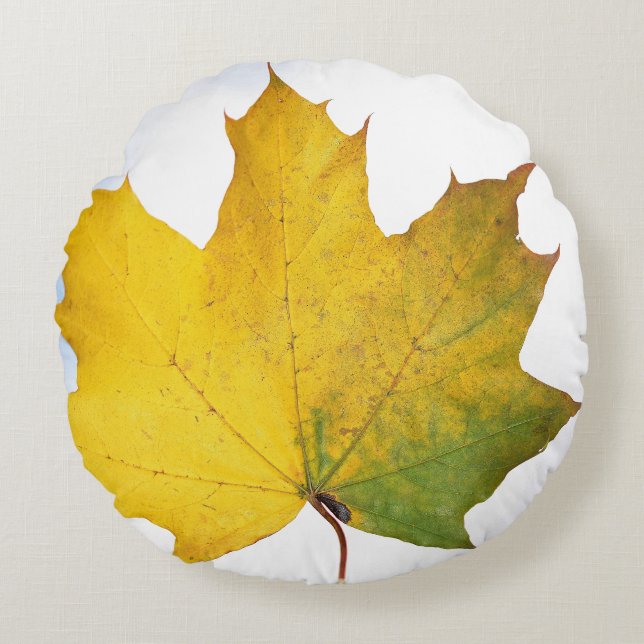 Almofada Redonda Travesseiro para cada sala (Frente)