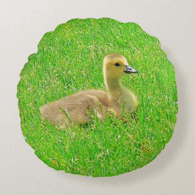 Almofada Redonda Travesseiro Redondo Canada Goose (Frente)