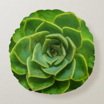 Travesseiro redondo do Succulent de Echeveria