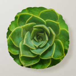 Almofada Redonda Travesseiro redondo do Succulent de Echeveria