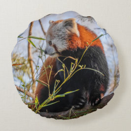 Almofada Redonda Travesseiro redondo Panda Vermelha