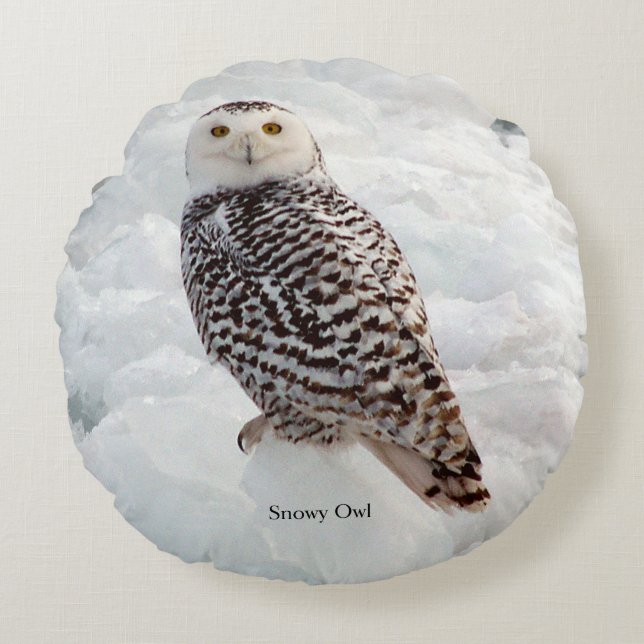 Almofada Redonda Travesseiro redondo Snowy Owl (Frente)