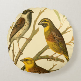 Almofada Redonda Três Aves Domésticas Perecidas num Ramo