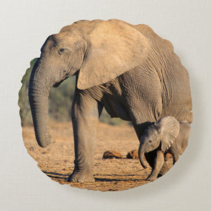 Almofada Redonda Uma mãe e cria de Elefante Africano em movimento