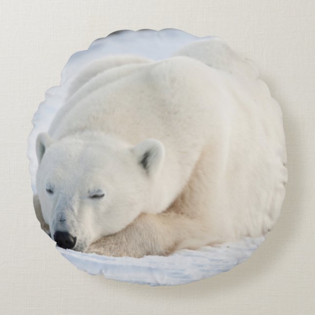 Almofada Redonda Urso Polar no inverno (Frente)