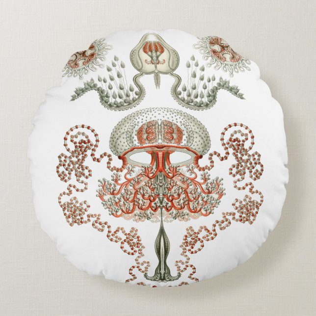 Almofada Redonda Vida Aquática ~ Haeckel ~ Bichos-de-Jellyfish (Frente)