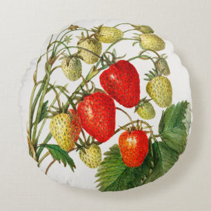 Almofada Redonda Vintage Strawberry Branch