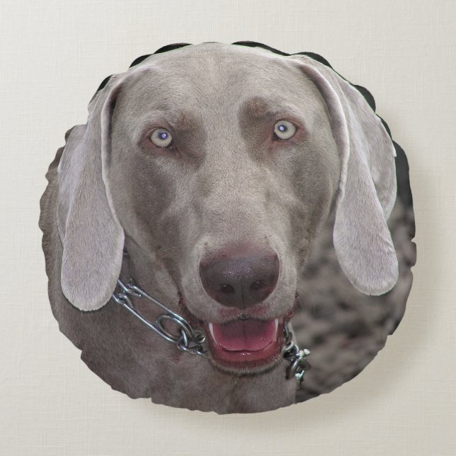 Almofada Redonda Weimaraner (Frente)