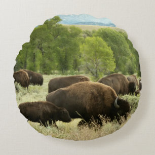 Almofada Redonda Wyoming Bison Nature