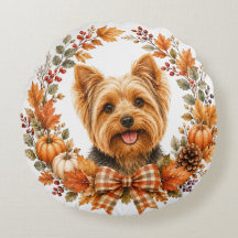 Yorkshire Terrier Outono