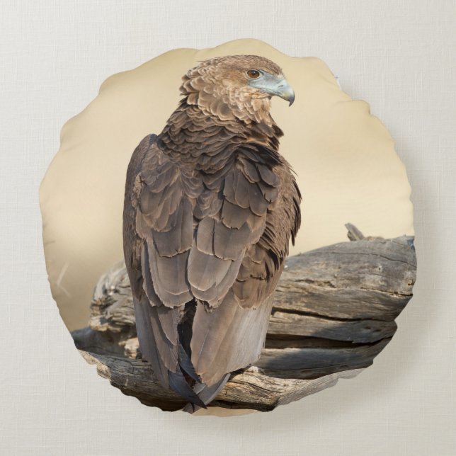 Almofada Redonda Young Bateleur (Verso)