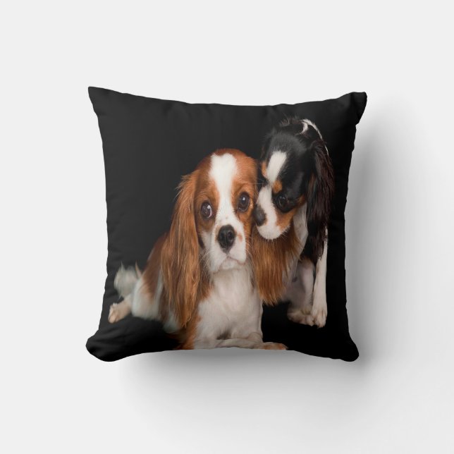 Almofada Rei Charles Cavalier Spaniel (Frente)