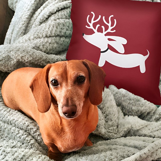 Almofada Reindeer Dachshund Travesseiro em Vermelho (Dachshund Christmas Pillow - weendeer dachshund for wiener dog families!)
