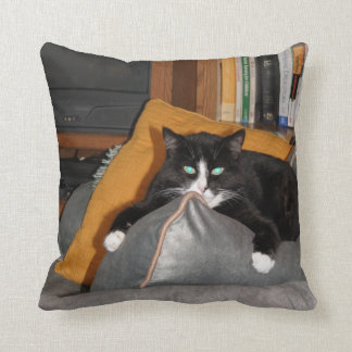 Almofada Relaxe um gato