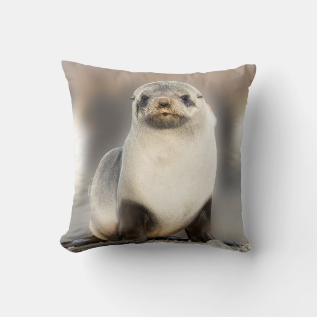 Almofada Retrato de filhote de foca na praia (Frente)