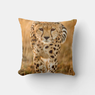 Almofada Retrato de Guepardo (Acinonyx Jubatus), Maasai