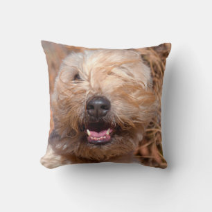 Almofada Retrato de Soft Coated Wheaten Terrier