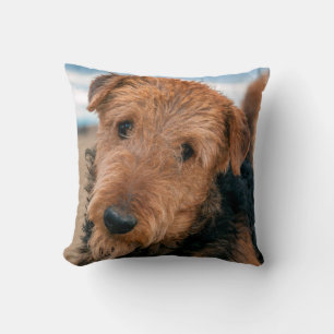 Almofada Retrato de um Airedale Terrier