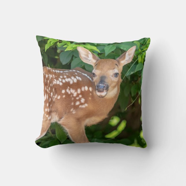 Almofada Retrato de uma Fawn recém-nascida (veado de cauda  (Frente)