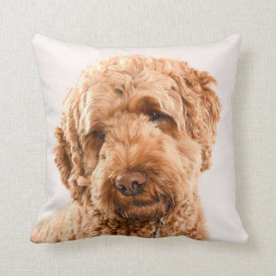 Almofada Retrato do Goldendoodle Studio