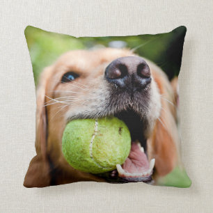 Almofada Retriever De Ouro Com Bola De Tênis
