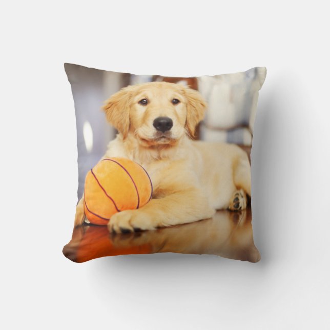 Almofada Retriever Ouro Com Brinquedo De Basquete (Frente)