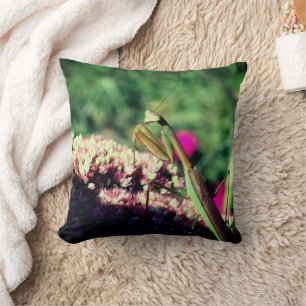 Almofada Rezando Mantis Em Sedum Flor Fechar
