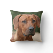 Rhodesian Ridgeback kussen