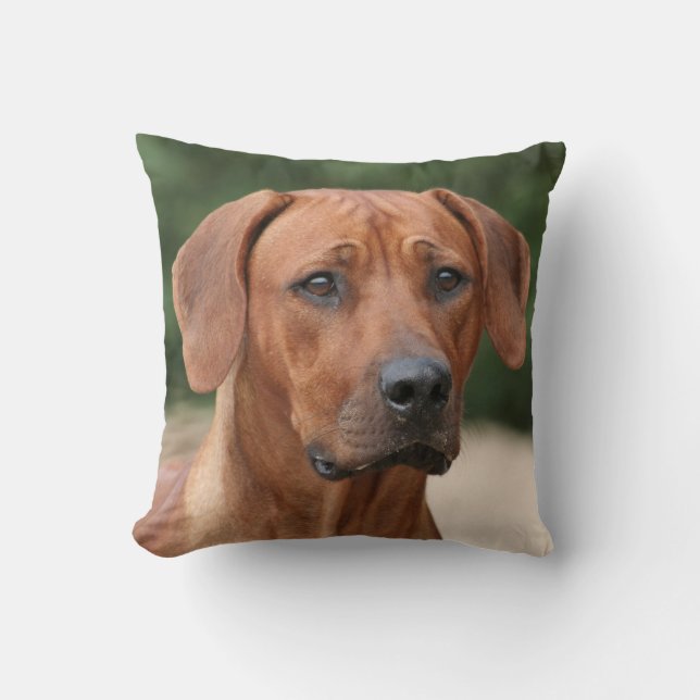 Almofada Rhodesian Ridgeback kussen (Frente)