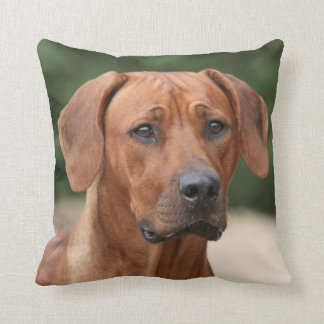 Almofada Rhodesian Ridgeback kussen