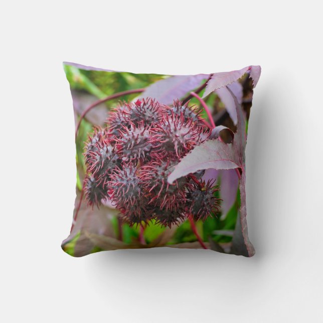Almofada Ricinus communis Throw Cushion (Frente)