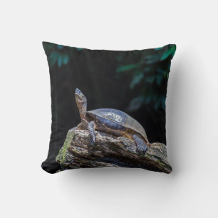 Almofada Rio Turtle, banho de sol em Tortuguero - Costa Ric
